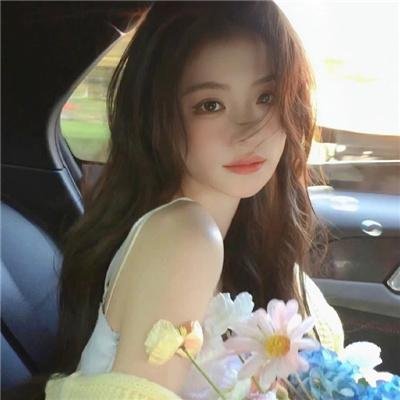 无声的证言第二十七季