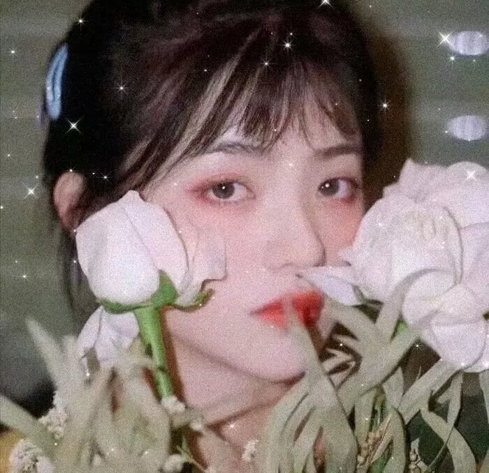 如果你不怕风